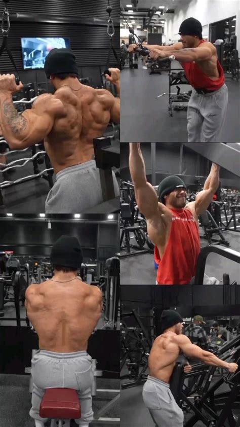 Image result for Workout Back Routine