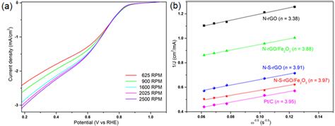 The Effect of Sulfur and Nitrogen Doping on the Oxygen Reduction ...
