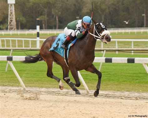 Sophomore spot plays at Tampa Bay Downs | TwinSpires