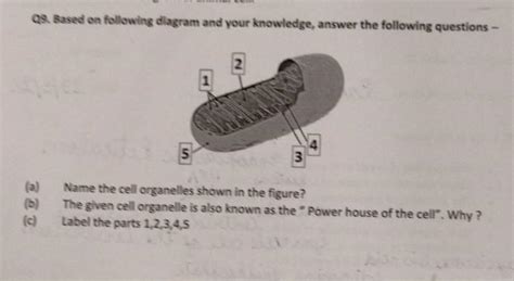 pls answer this question - Brainly.in