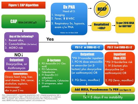 Pneumonia Algorithm 的图像结果