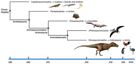 Dinosaurs: Comparative Cytogenomics of Their Reptile Cousins and Avian Descendants