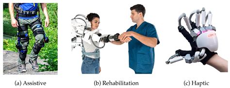 Optimizing Exoskeleton Design with Evolutionary Computation: An ...