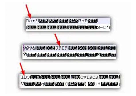 Image result for How Retrieve Chk Files