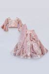 Buy Peach Net, Organza Sequins Embroidered Lehenga Set For Girls by ...