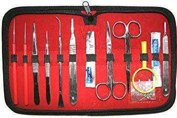 GST C Shaped Dissecting Kit, Set of 14 Pieces : Amazon.in: Industrial ...
