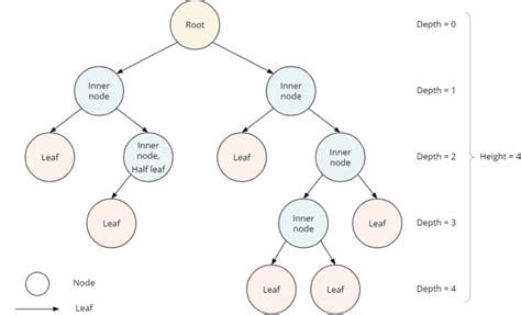 Binary Tree Java by Naveen 的图像结果