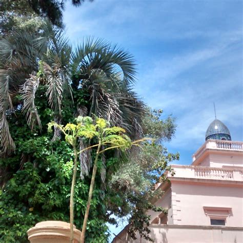 MIRADOR COMASTRI - All You Need to Know BEFORE You Go 2026 (with Photos ...
