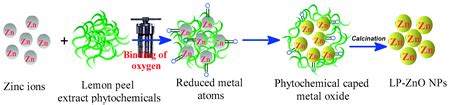 Green Hydrothermal Synthesis of Zinc Oxide Nanoparticles for UV-Light ...