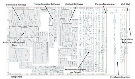 Metabolites | Special Issue : Visualization of Metabolic Networks