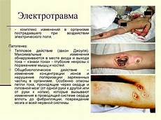 Северо-Осетинская государственная …