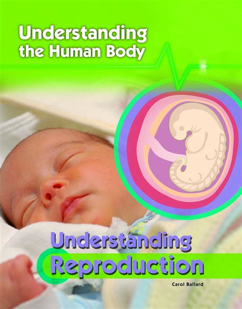 Understanding Reproduction (Understanding the Human Body) : Ballard ...