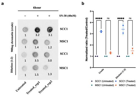 Evolution of Resistance to Irinotecan in Cancer Cells Involves ...