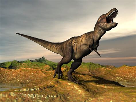 恐龙在地球上生活了多少年(恐龙统治了地球1亿7千万年)-风水人