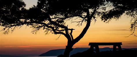 Download wallpaper 2560x1080 tree, bench, silhouettes, sea, twilight ...