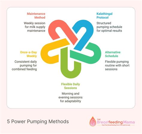 Power Pumping Schedule: 5 Evidence-Based Methods That Actually Work ...
