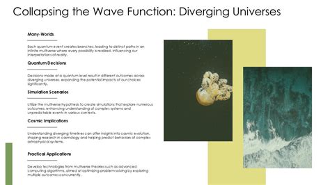 Image result for Simulated Multiverse