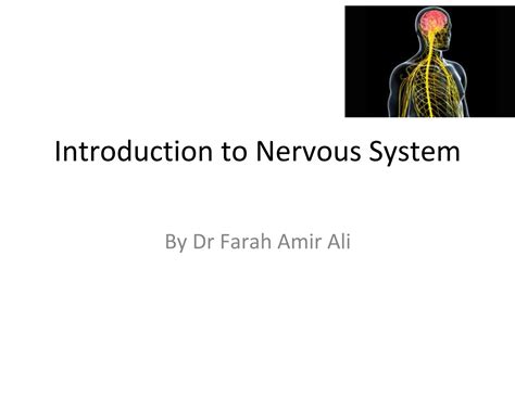 Image result for Nervous System Introduction