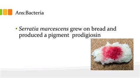 FOOD QUIZ (X-QUIZ-IT inter college)2017 | PPTX