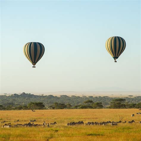 SERENGETI BALLOON SAFARIS (Updated 2026) All You Need to Know BEFORE ...