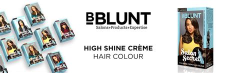 Bblunt Salon Secret High Shine Crème Hair Colour - Chocolate Dark Brown ...