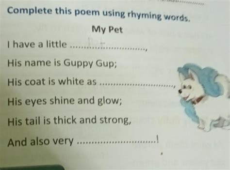 B. Complete this poem using rhyming words. My Pet I have a little ...