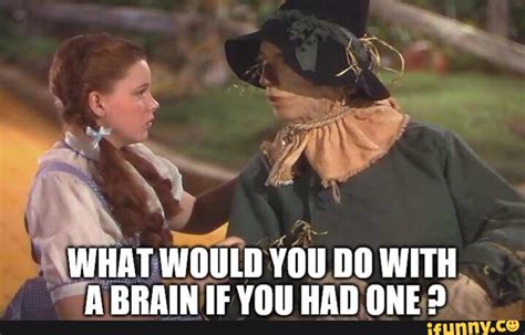 WHAT WOULD YOU DO WITH A BRAIN IF YOU HAD ONE? - iFunny