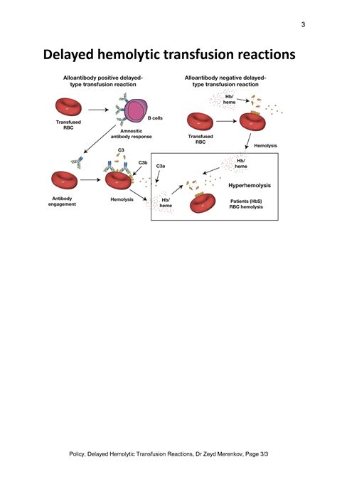 Delayed Hemolytic Transfusion Reactions–Revision – Dr. Zeyd Merenkov