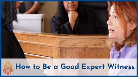 Expert Witness Example 的图像结果