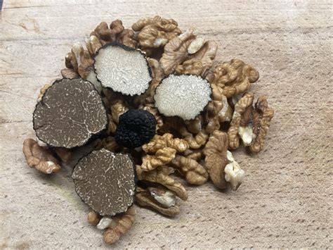 Recognizing Different Types of Truffles and Assessing Their Quality ...