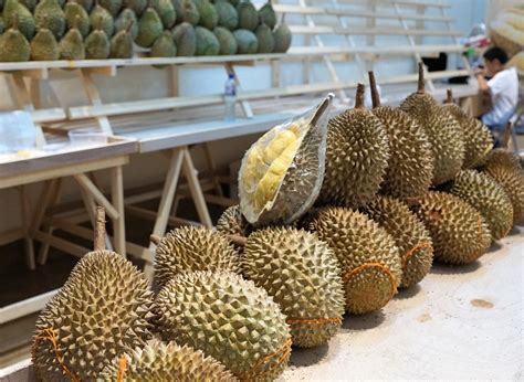 中方要求进口泰国榴莲获GMP认证 仅少数企业达标 | 国际果蔬报道