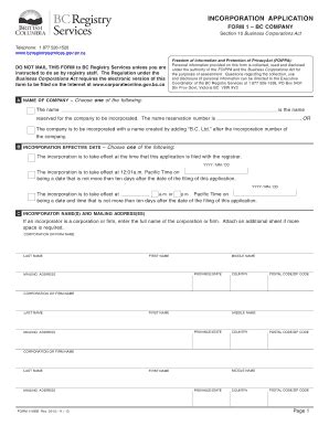 Court of Protection Assessment of Capacity Form - Blank Fillable ...