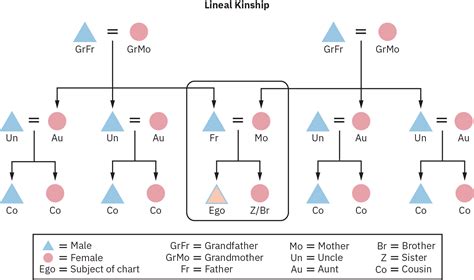 Patrilineal Kinship Chart
