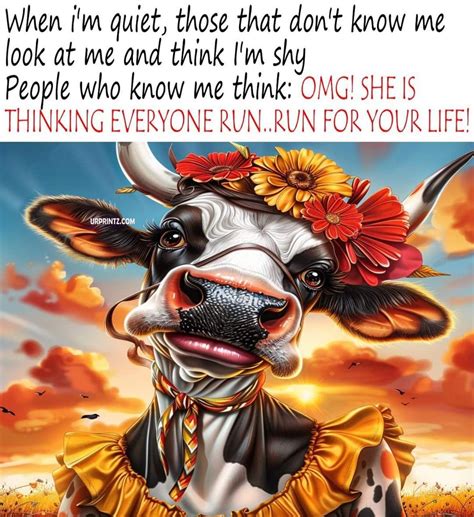 Pin by Deb Miller on new cows | Funny cow pictures, Cows funny, Funny ...