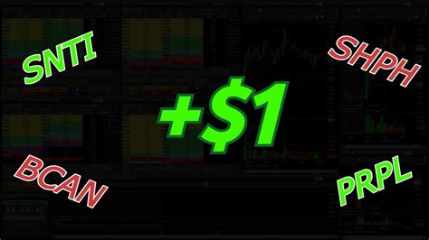 TradeZero Tutorial 的图像结果