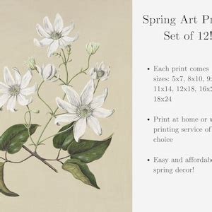 Image result for Spring Art Prints