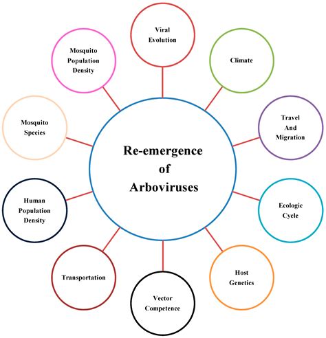 Genetic Determinants of the Re-Emergence of Arboviral Diseases