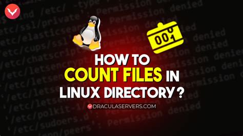 Image result for Command for Counting Files in Linux Ubuntu