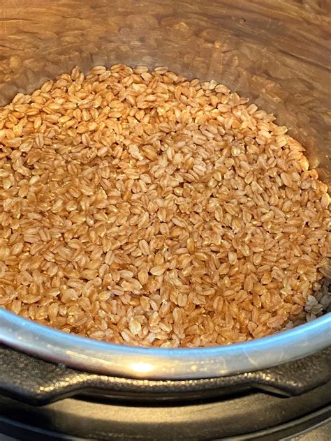 Instant Pot® Farro Risotto Recipe