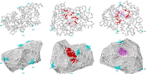 Model Paper Anm 的图像结果