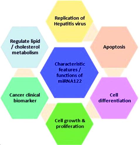 Cellular Function 的图像结果