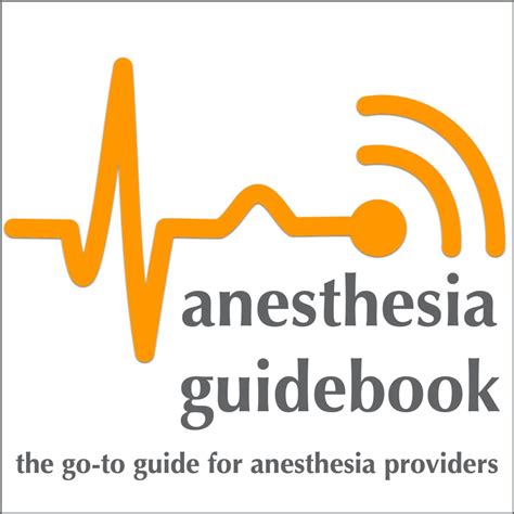Anesthesia Record Example 的图像结果