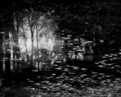 Nicholas Hughes, Verse I, #1, 2016 | Print Sales Gallery | The ...