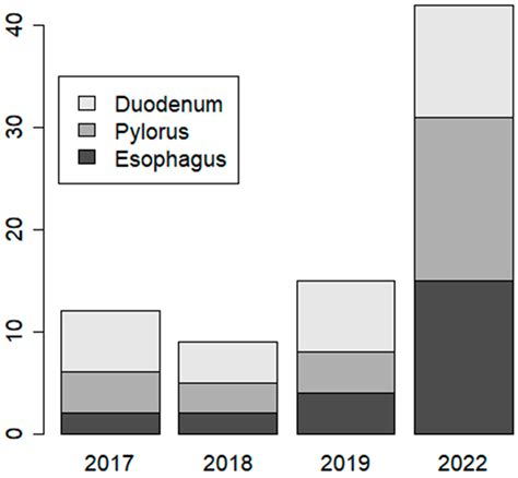 Does COVID-19 Infection during Pregnancy Increase the Appearance of ...