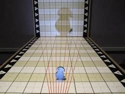 Why are shadows made? - Year 6 Science PDF Download