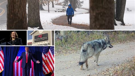 Top News Stories in Us 的图像结果