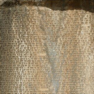 Elamite Walk 的图像结果