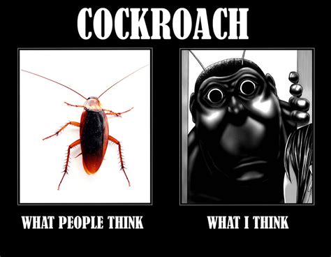 Cockroach Meme Invasion 的图像结果