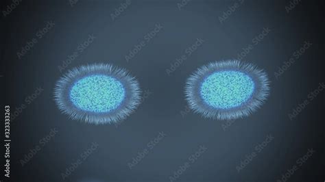 Image result for Bacteria Reproduction Animation