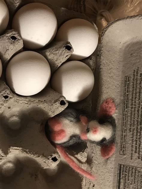 Image result for Easy Felted Mouse Tutorial